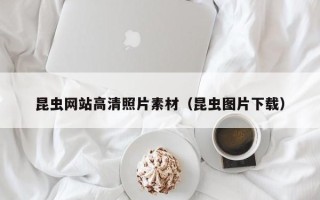 镇江昆虫网站高清照片素材（昆虫图片下载）